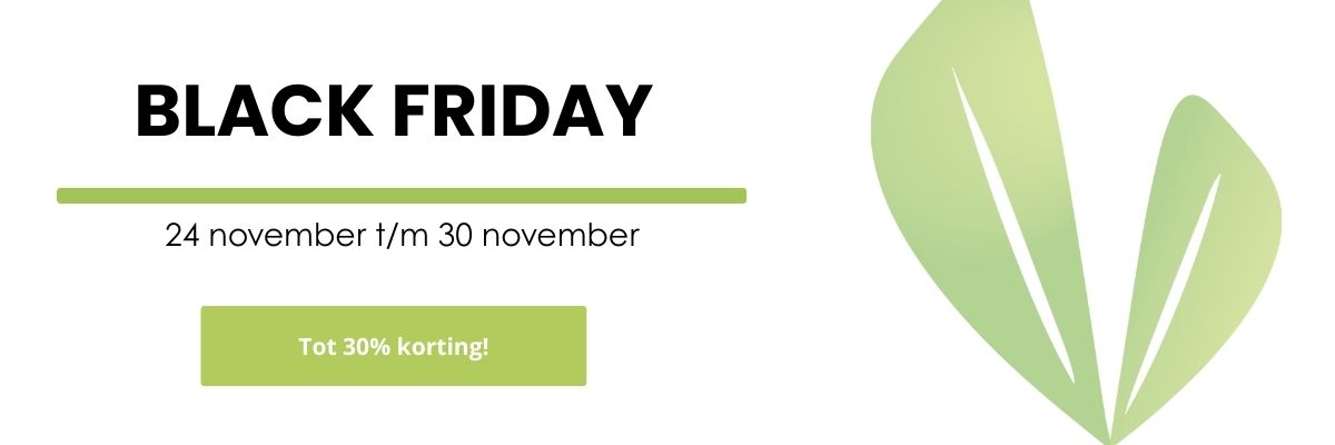 Black Friday Black Friday